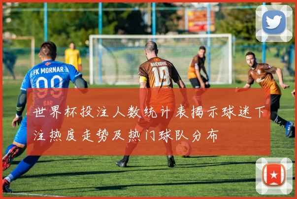 世界杯投注人数统计表揭示球迷下注热度走势及热门球队分布