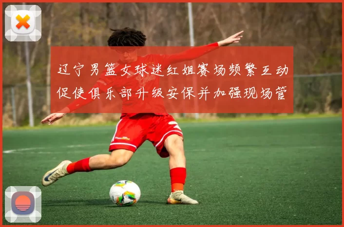 辽宁男篮女球迷红姐赛场频繁互动促使俱乐部升级安保并加强现场管理