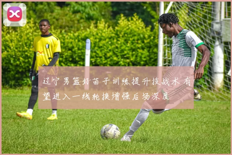 辽宁男篮好苗子训练提升技战术 有望进入一线轮换增强后场深度