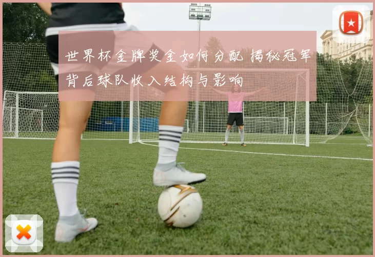 世界杯金牌奖金如何分配 揭秘冠军背后球队收入结构与影响