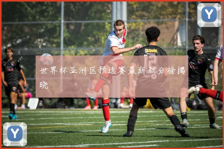 世界杯亚洲区预选赛最新积分榜揭晓