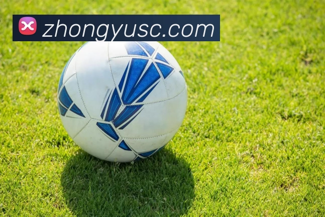 辽宁男篮好苗子训练提升技战术 有望进入一线轮换增强后场深度